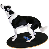 FitPAWS Wobble Board - 36